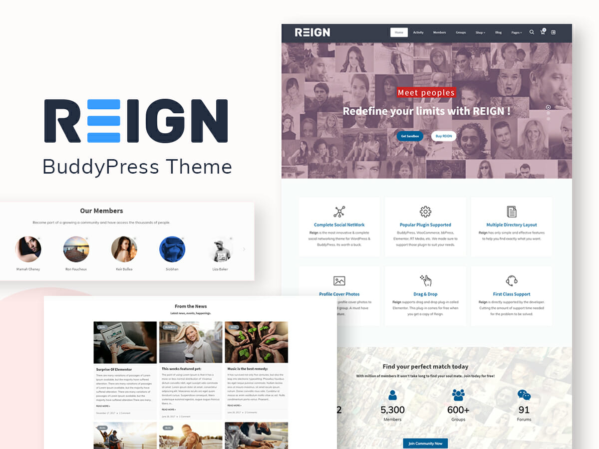 BuddyPress Theme, Ning Alternatives