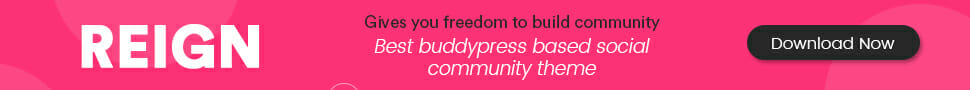BuddyPress Theme