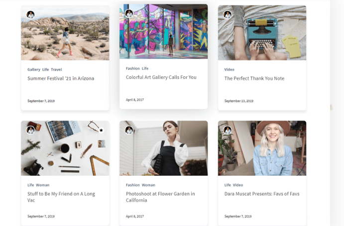 articlemag theme