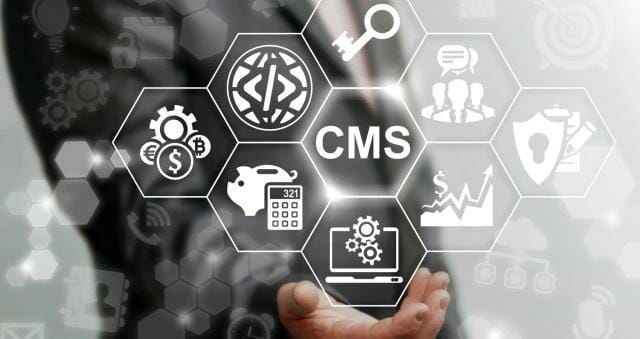content management system- Webflow Designer Vs. CMS