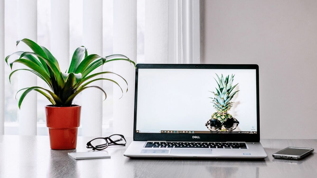 retina ready wordpress themes