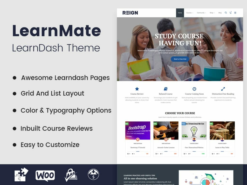 wordpress education theme