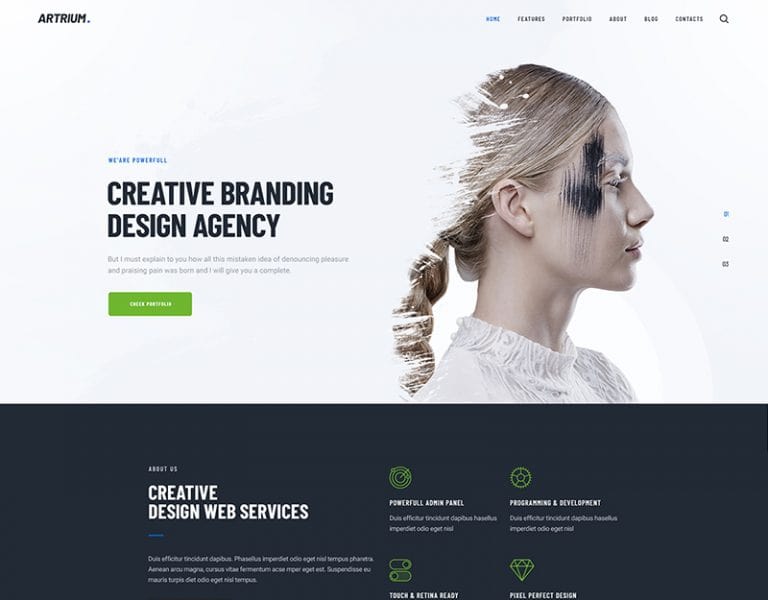 Intranet WordPress Themes