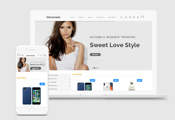 WordPress eCommerce Theme