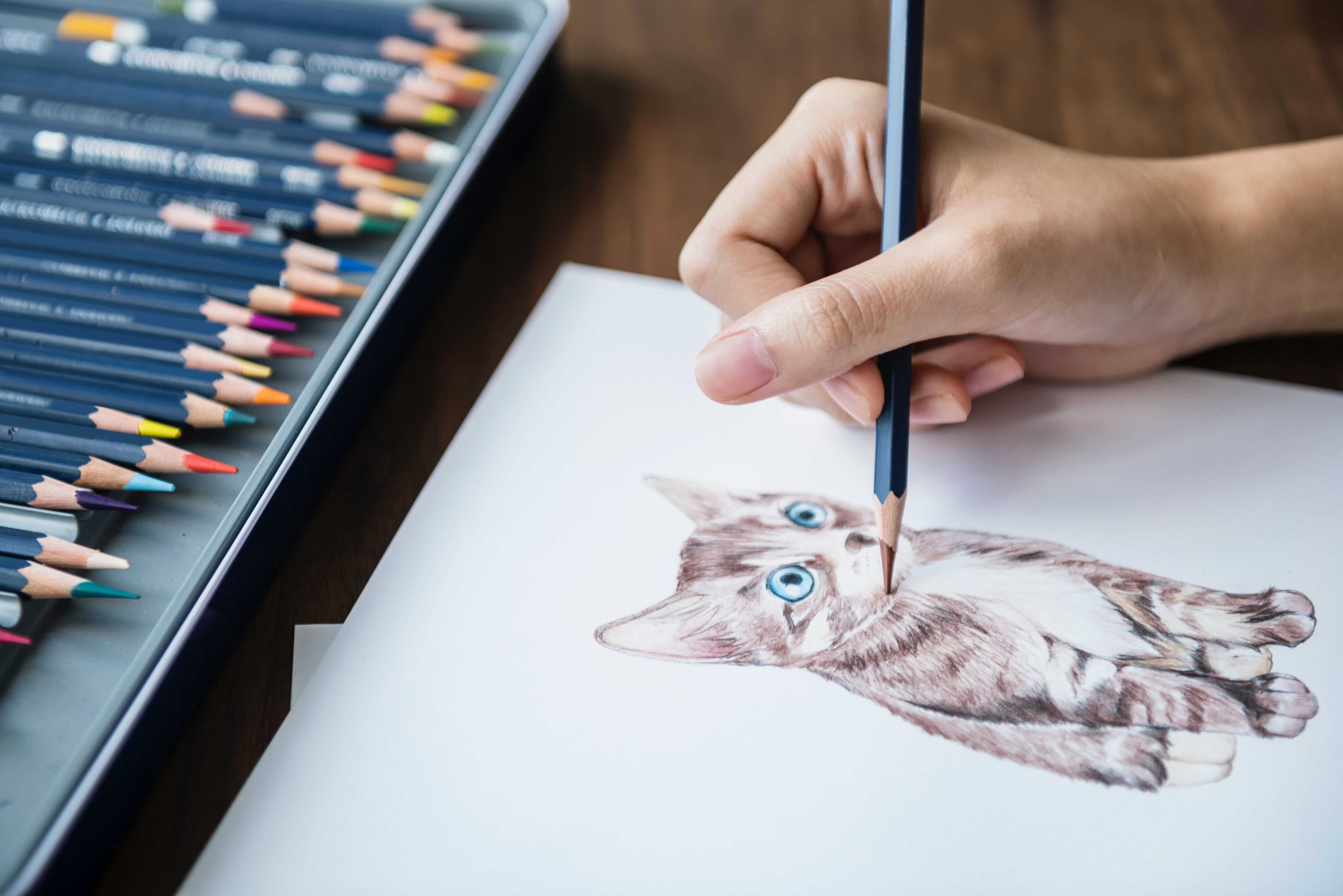 art and illustrations