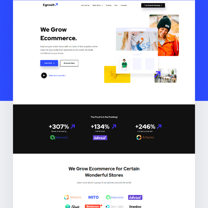 Ecommerce WordPress theme
