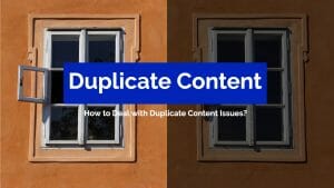 Duplicate Content Issues