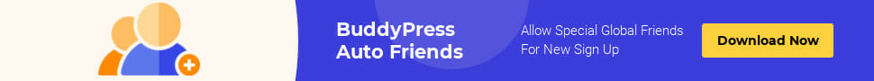Reign BuddyPress Theme