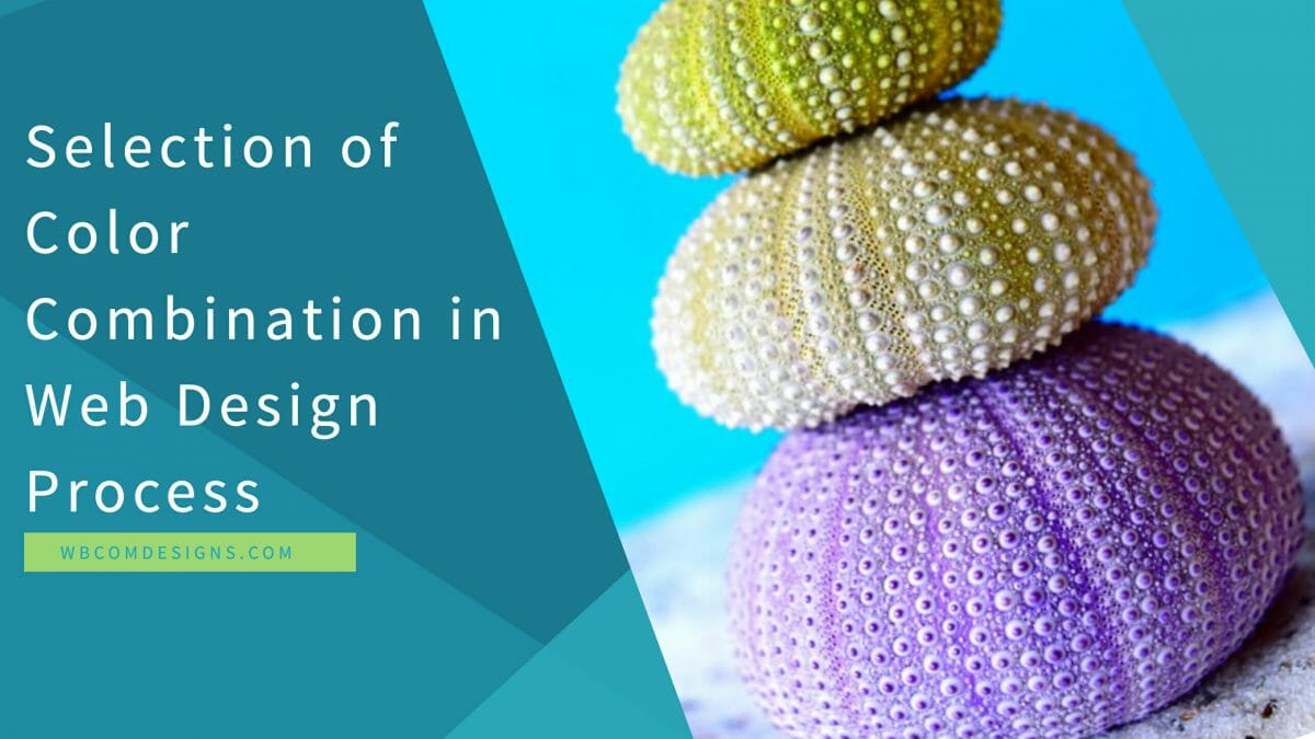 Web Design Process