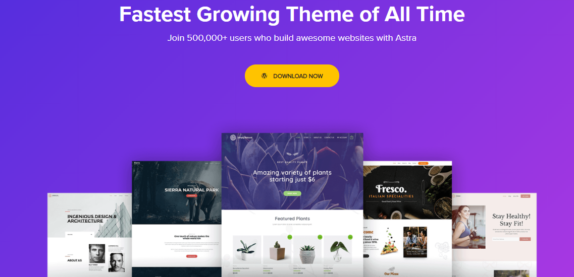 multipurpose wordpress theme