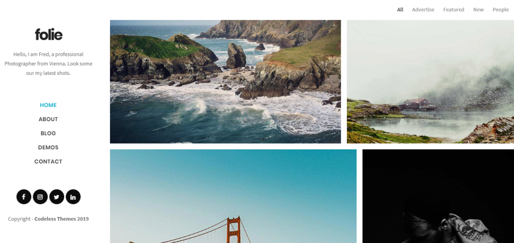 portfolio WordPress theme