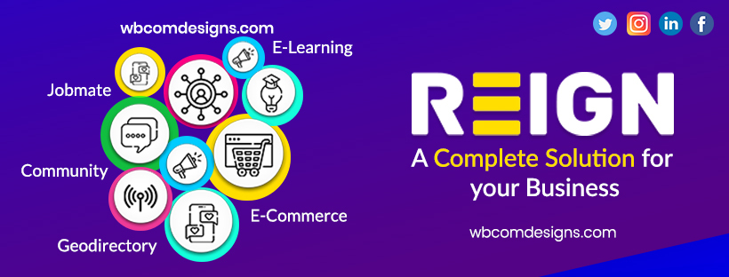 responsive theme -reign theme