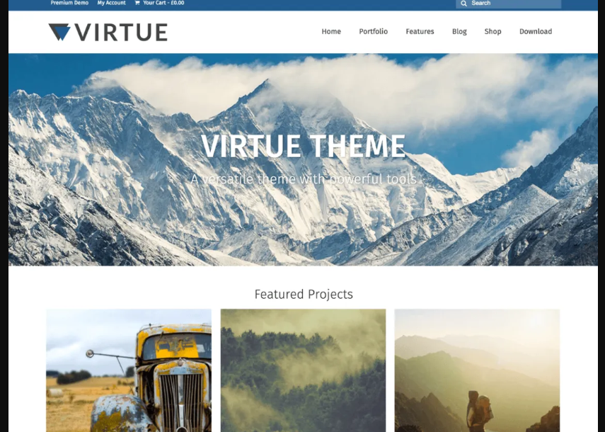 Virtue