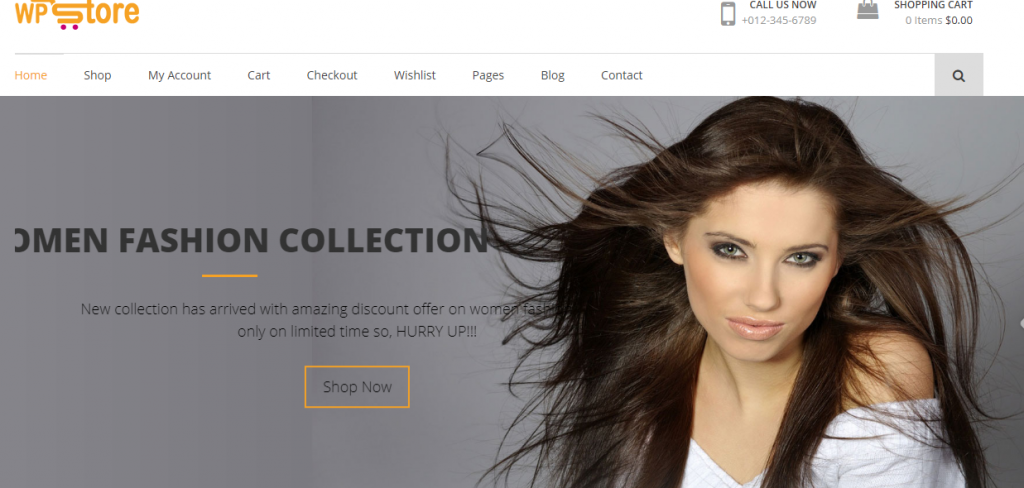 Wp Store