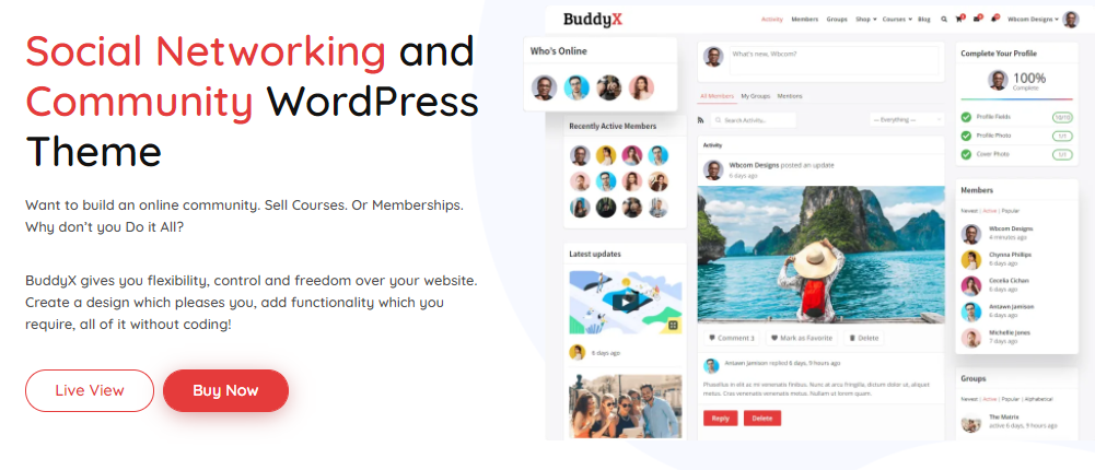 buddyx theme