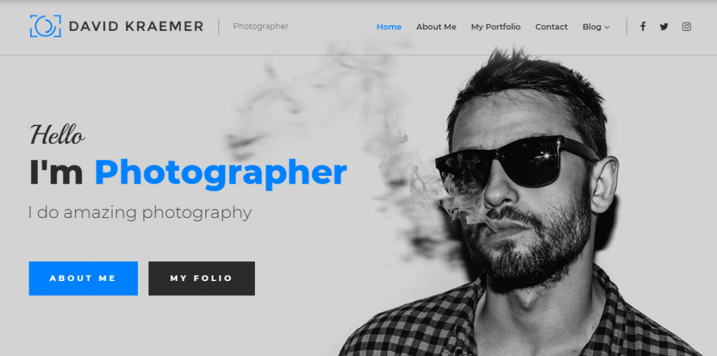 professional WordPress theme