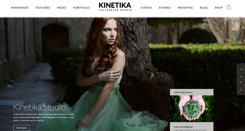 wordpress for photographers