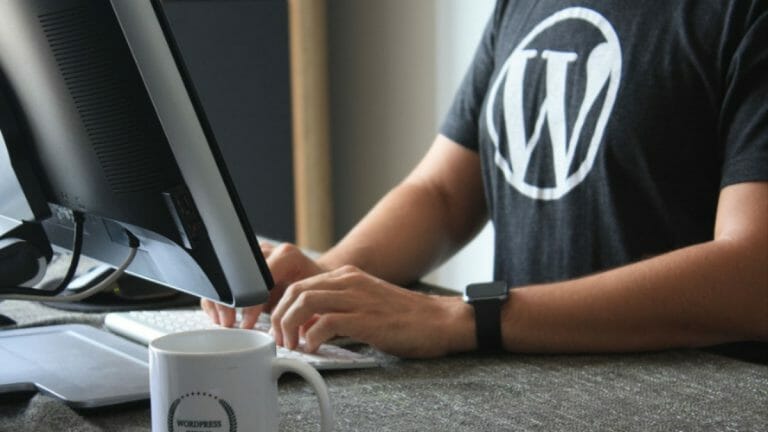 best cms of 2020