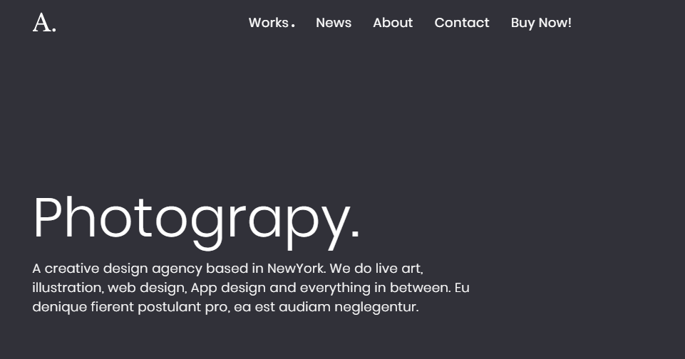 responsive WordPress photography theme