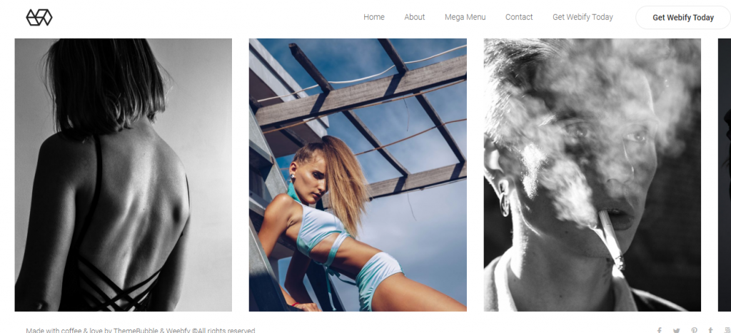 Elementor WordPress theme