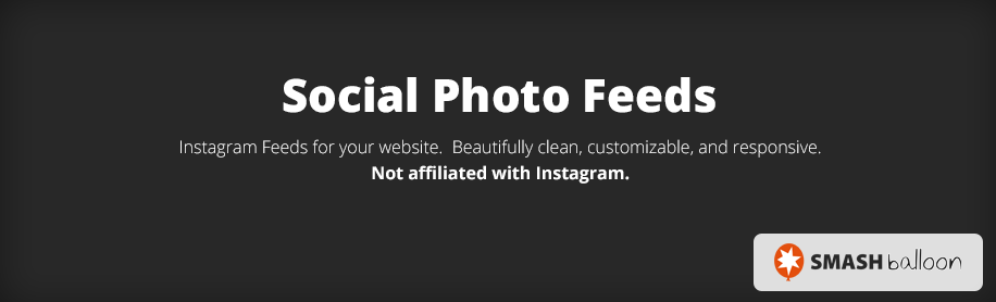  WordPress Instagram Plugins 