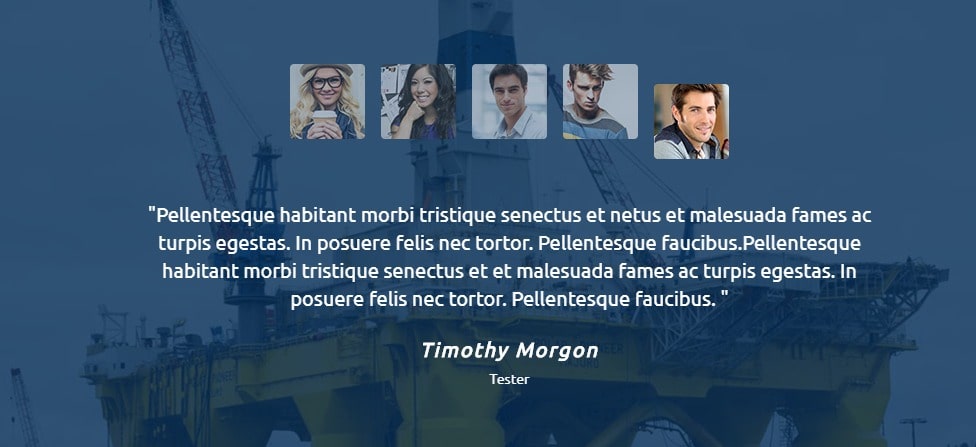 Testimonial Pro Plugin 