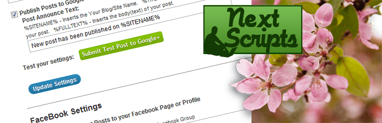 Social Network. WordPress Auto Poster