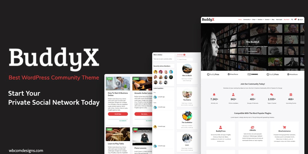 Free WordPress Social Network Theme