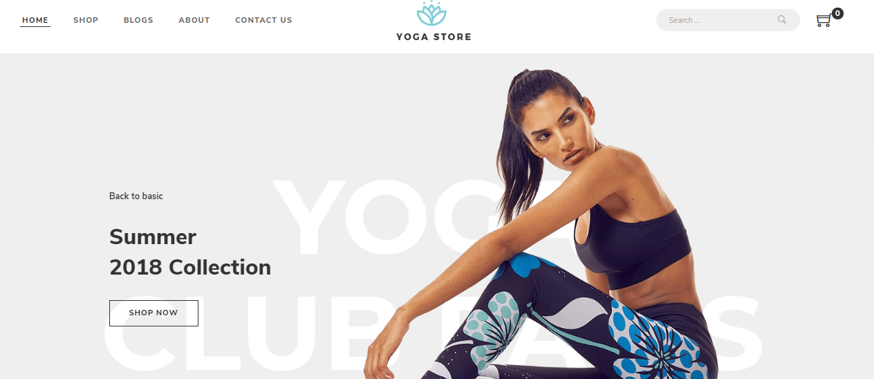 WordPress Fashion Themes