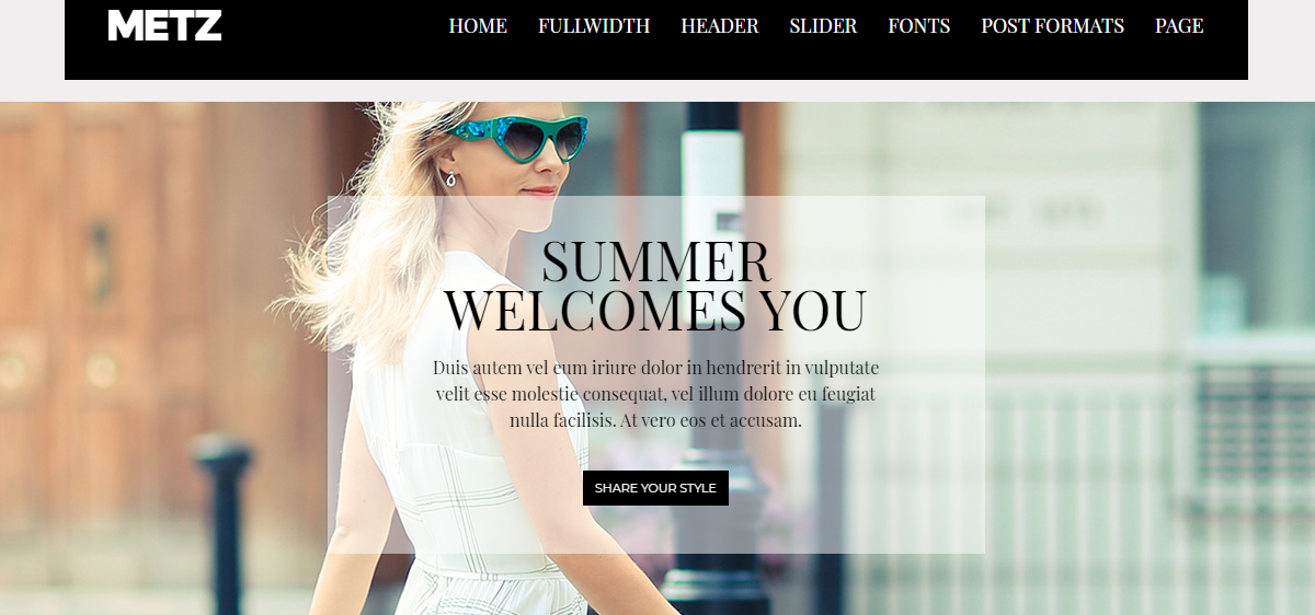 WordPress Fashion Themes