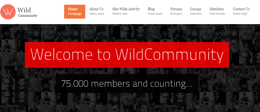 WordPress Forum Themes