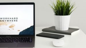 Premium WordPress Themes