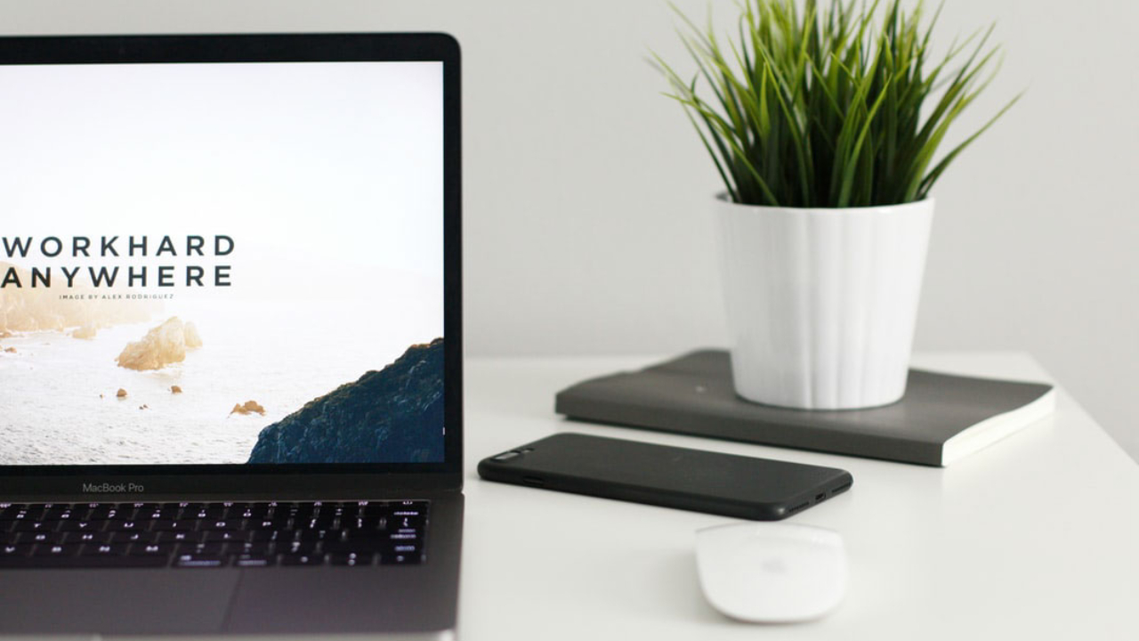 Premium WordPress Themes