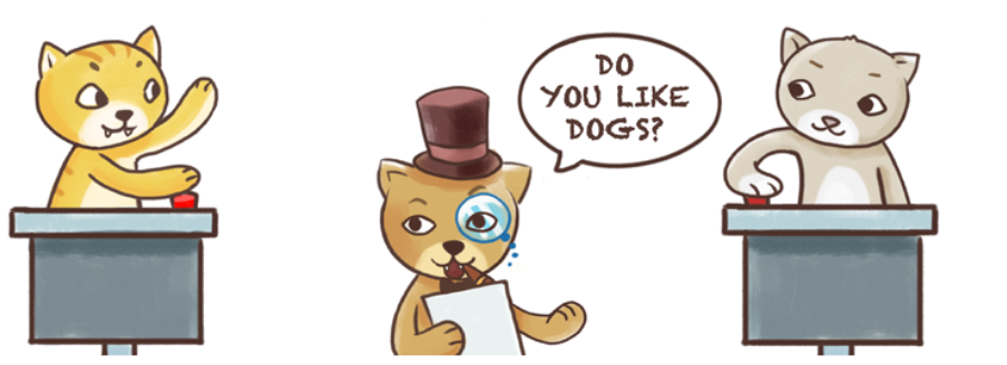 Quiz Cat