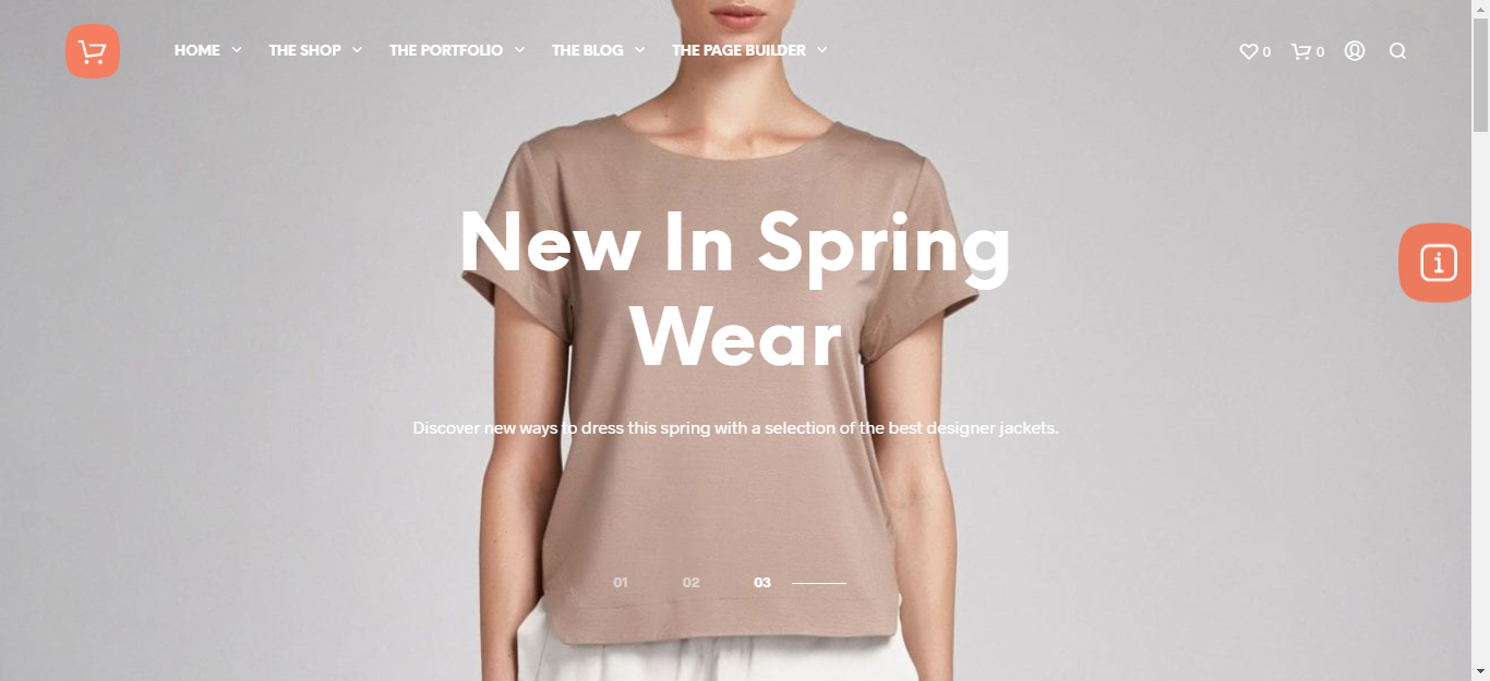 WordPress eCommerce Plugins Theme