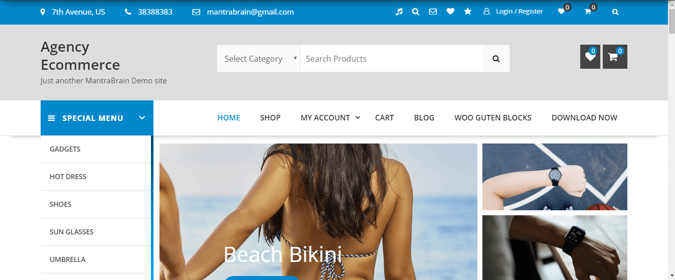 agency-e-commerce- Retail WordPress themes