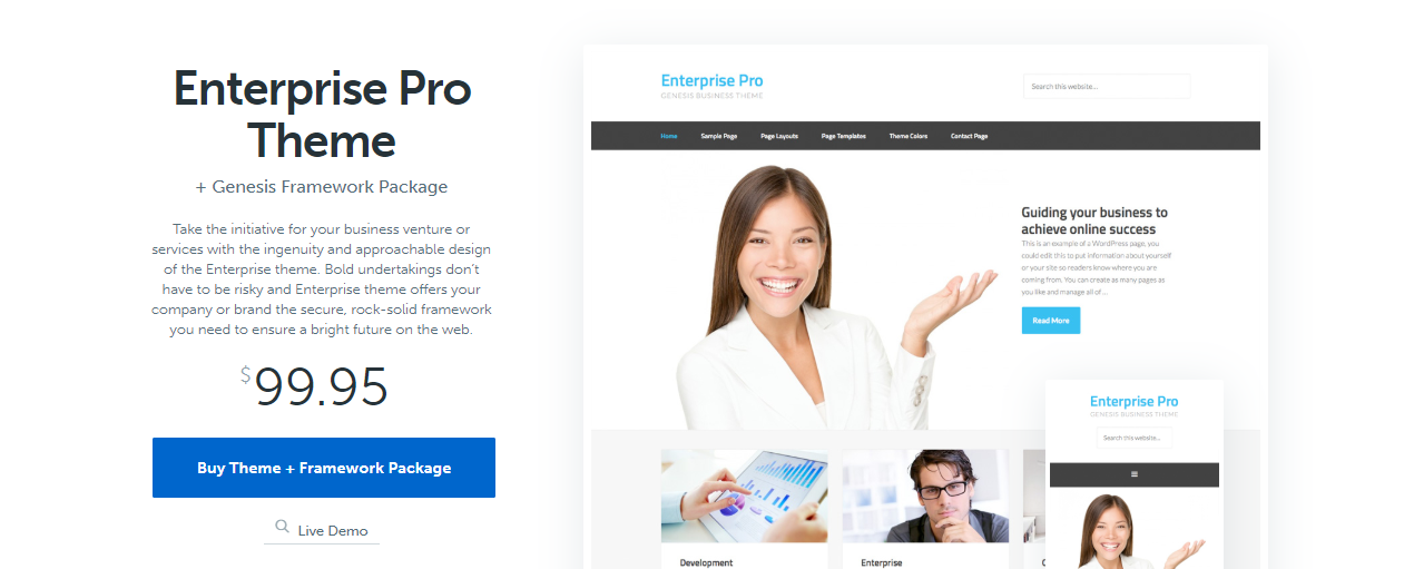 enterprise pro theme