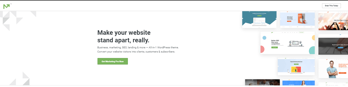 Marketing pro themes