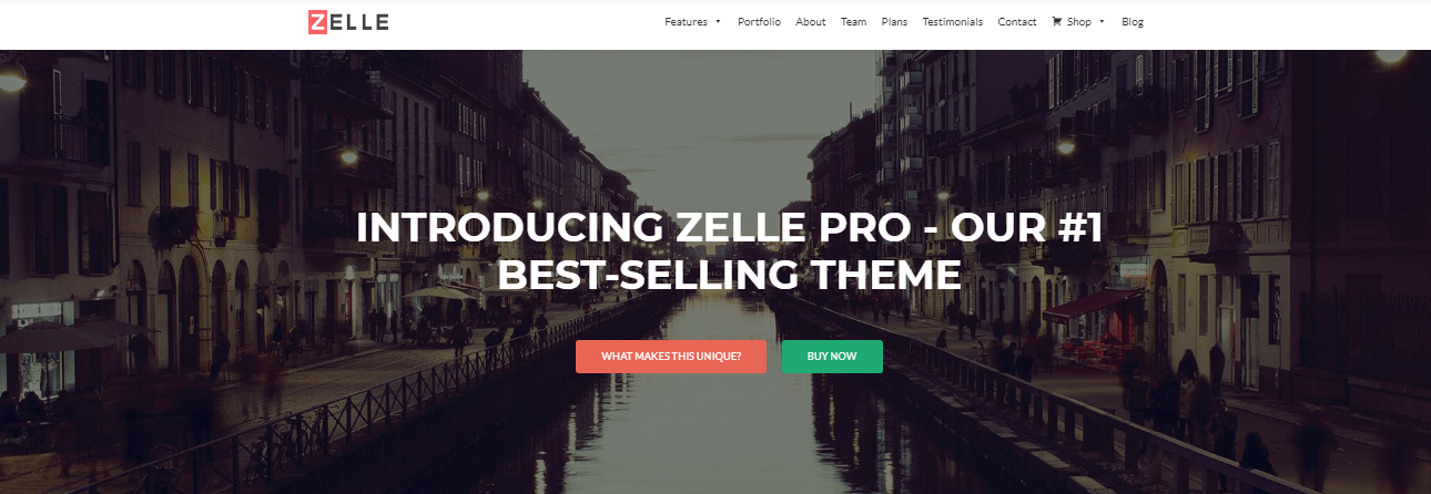 zelle pro wordpress themes