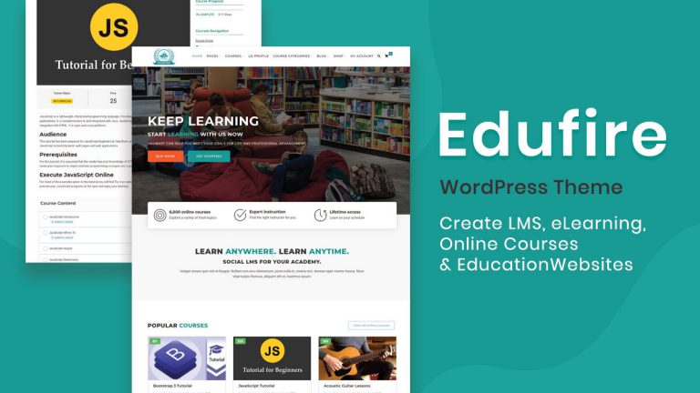 WordPress LearnDash Theme Review