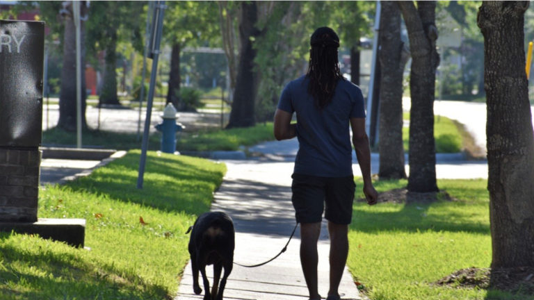 Community of animal lovers