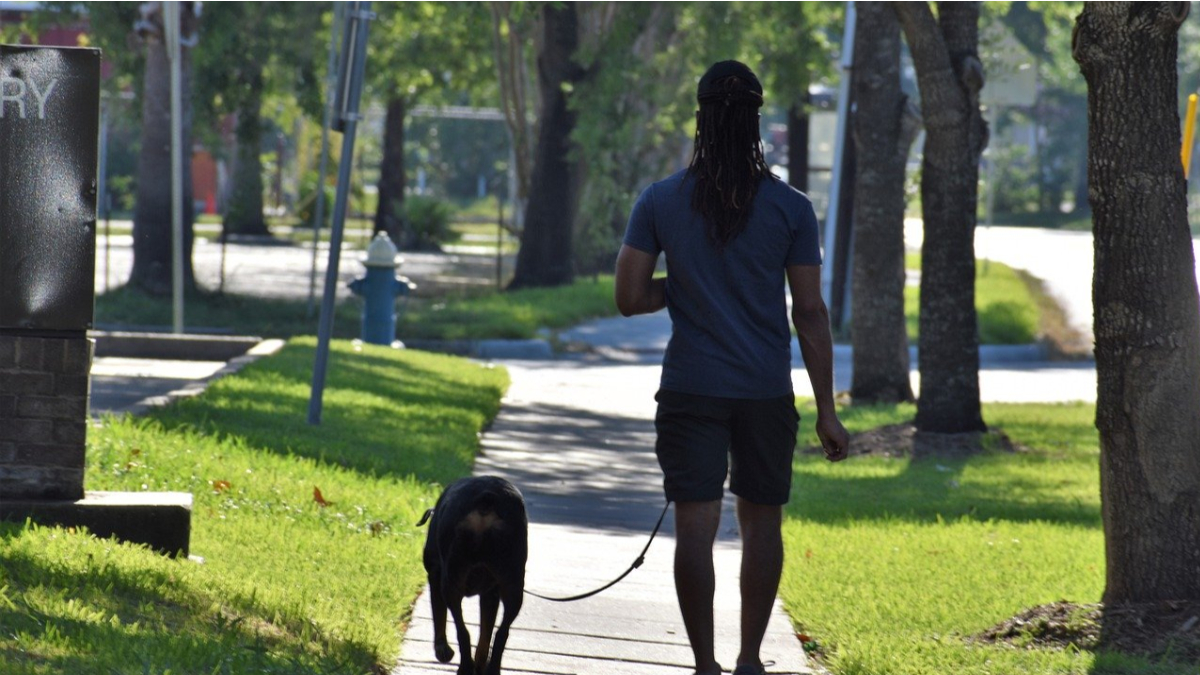 Community of animal lovers