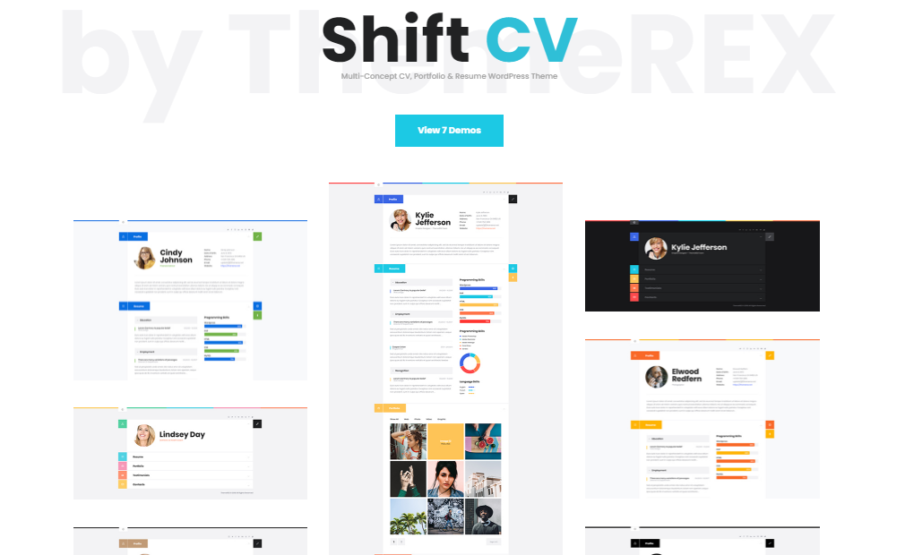 Portfolio WordPress Theme