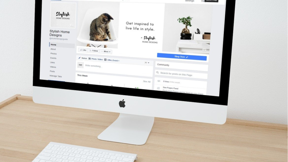 Website Design: SEO