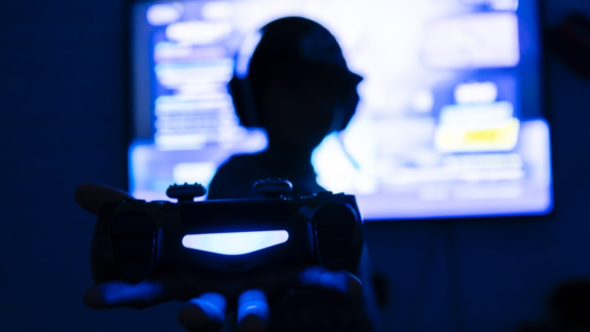 Video Gallery WordPress Plugins