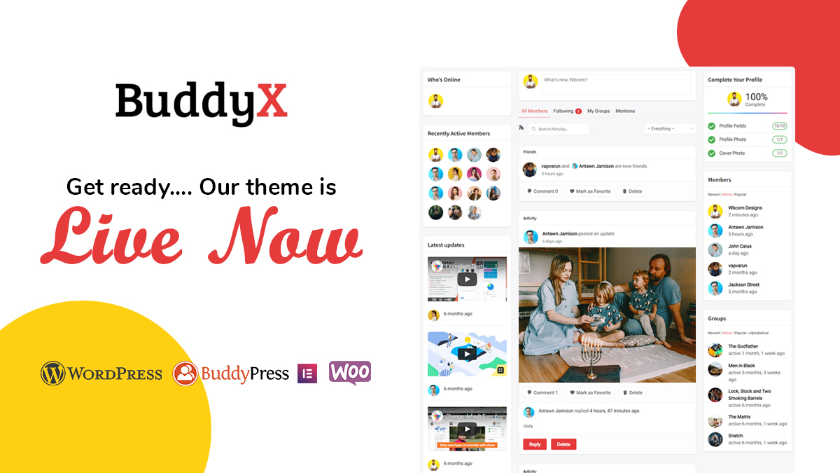 BuddyX theme