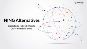 NING Alternatives