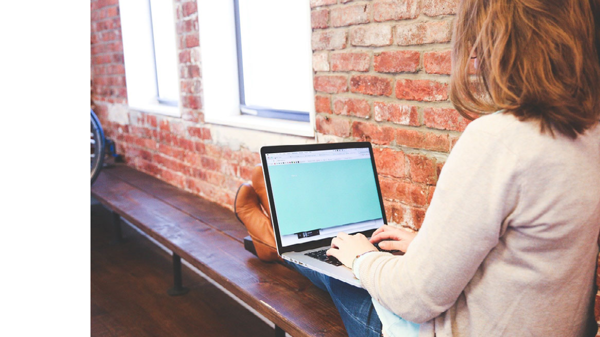 Schema WordPress Themes