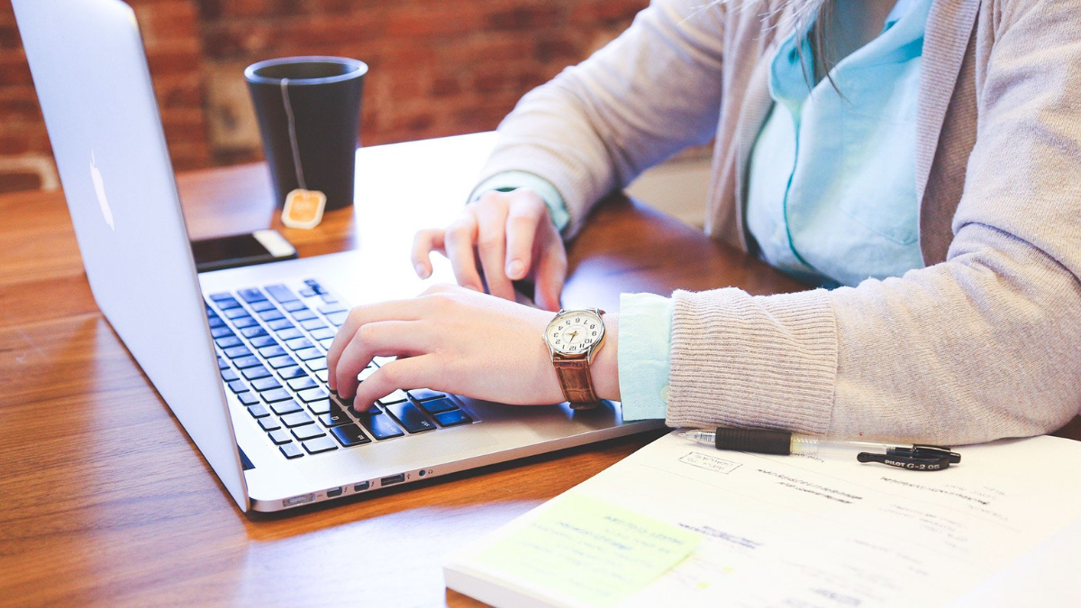 Tribe or WordPress for Creating a Social Network