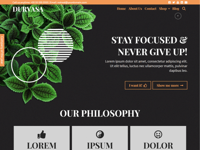 lms wordpress theme